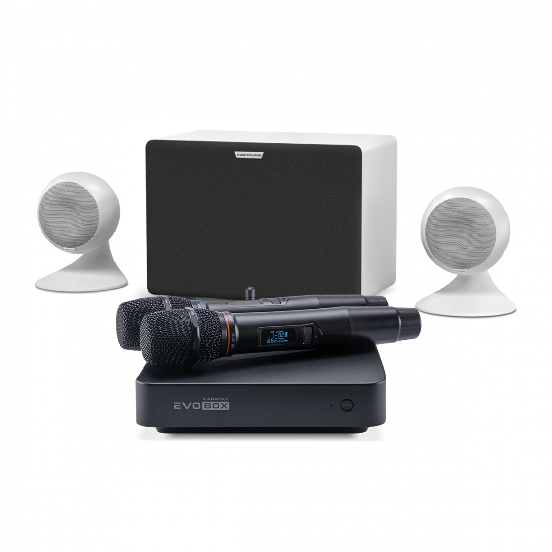 караоке-комплект EVOBOX Classic + EvoSound Sphere 2.1 в Оренбурге