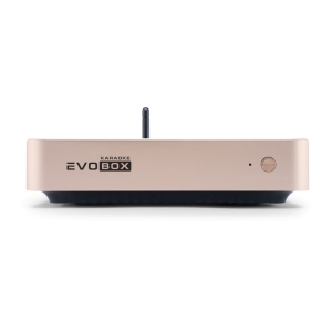 EVOBOX Classic караоке-система для дома в Оренбурге