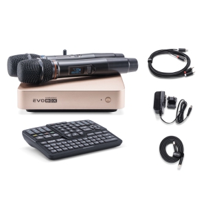 EVOBOX Classic караоке-система для дома в Оренбурге