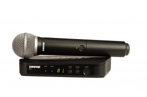 SHURE BLX24E/PG58 M17 вокальная радиосистема в Оренбурге
